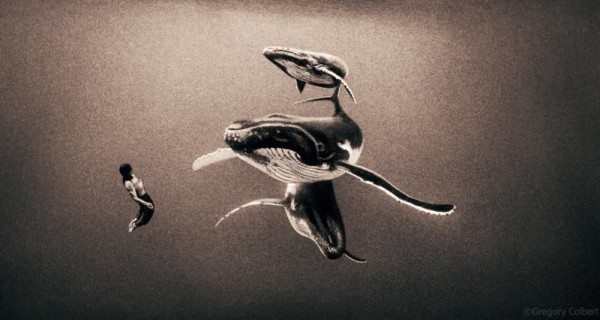 Photography by Gregory Colbert