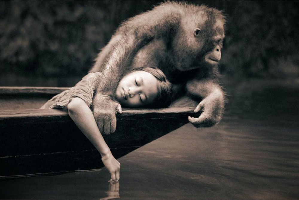 Photography by Gregory Colbert