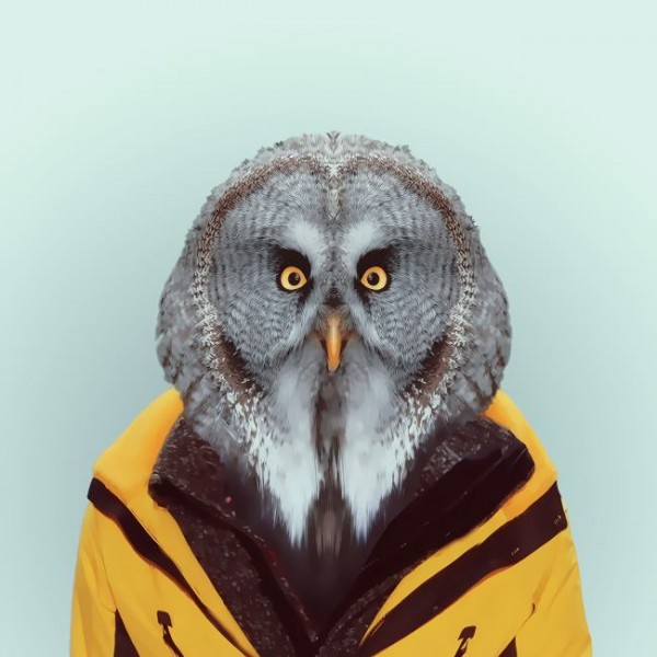 New Internet Trend? Animal As Fashion Models