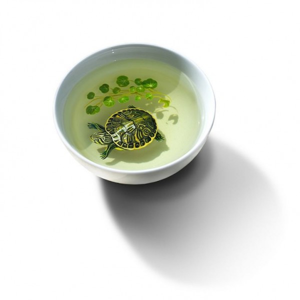 Hyper Realism in a bowl by Keng Lye