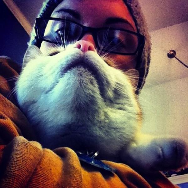 Hilarious Pet Owners Take Photos with "Cat Beards"