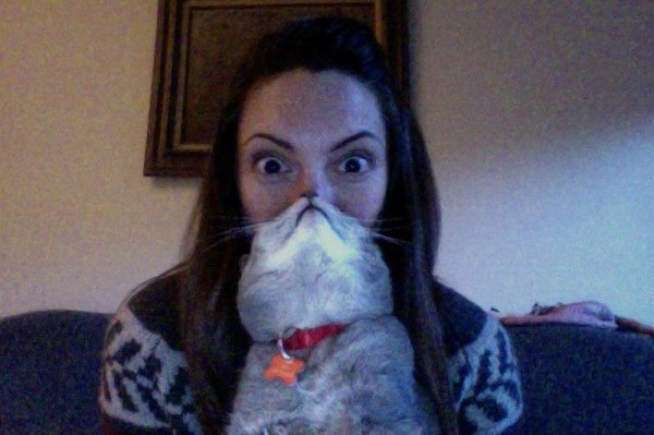 Cat Beards, A New Meme On The Internet