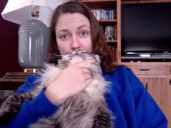 Hilarious Pet Owners Take Photos with "Cat Beards"