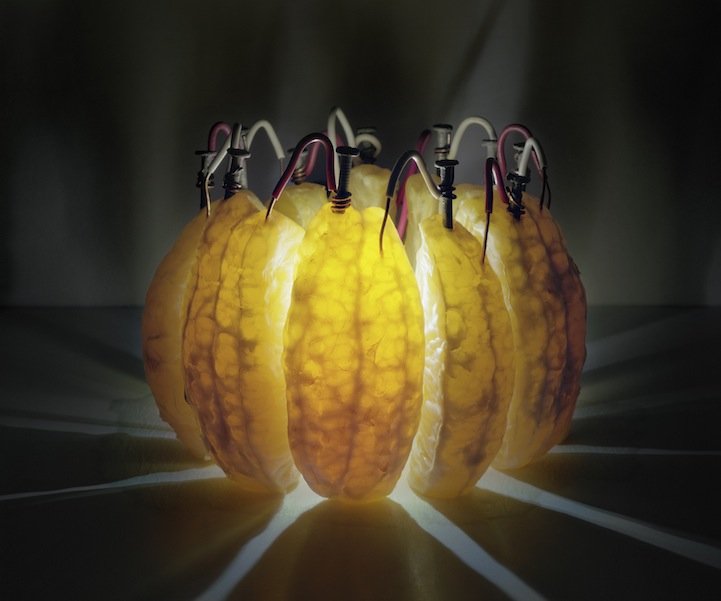 Back to Light Project – Caleb Charland Turns Fruit into Light