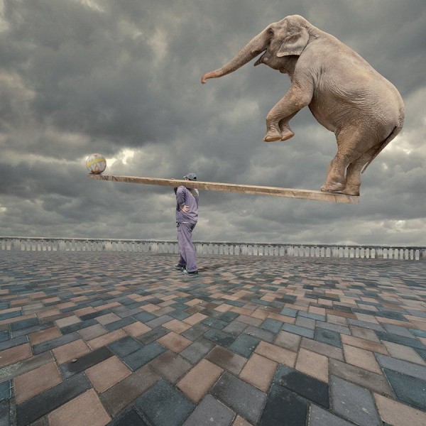 Balanced by Caras Ionut