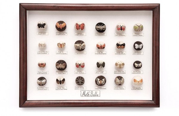 Incredible Insects Art