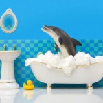 Secret Life of Plastic Toys (13 Pictures)