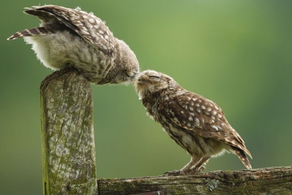 Mother and son while eating together in Droitwich, UK