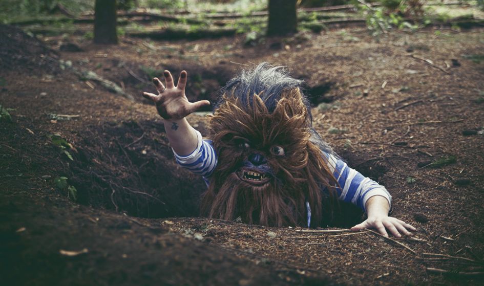 Wookiee in Real Life Situations