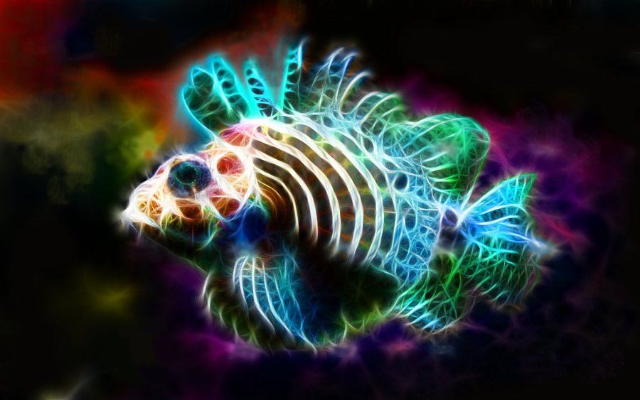 Animal Portraits as Electrifying Bursts of Color