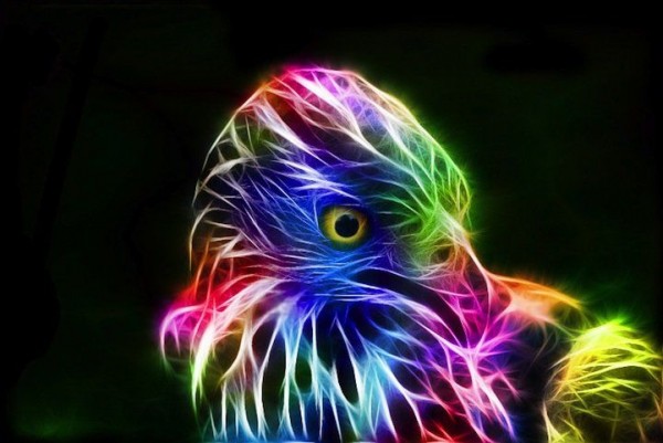 Animal Portraits as Electrifying Bursts of Color
