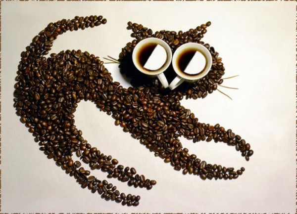 Coffee fantasy Photography by Irina Nikitina