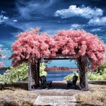 Fantastic Infrared Photography by Helios-Spada
