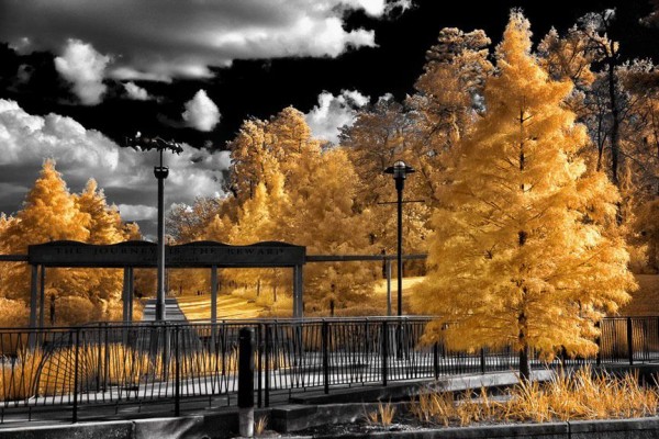 Fantastic Infrared Photography by Helios-Spada