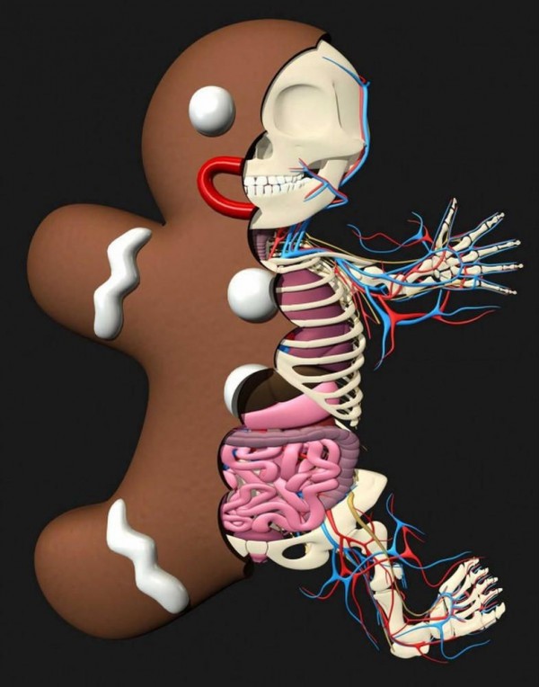 Bizarre Anatomical Toys by Jason Freeny