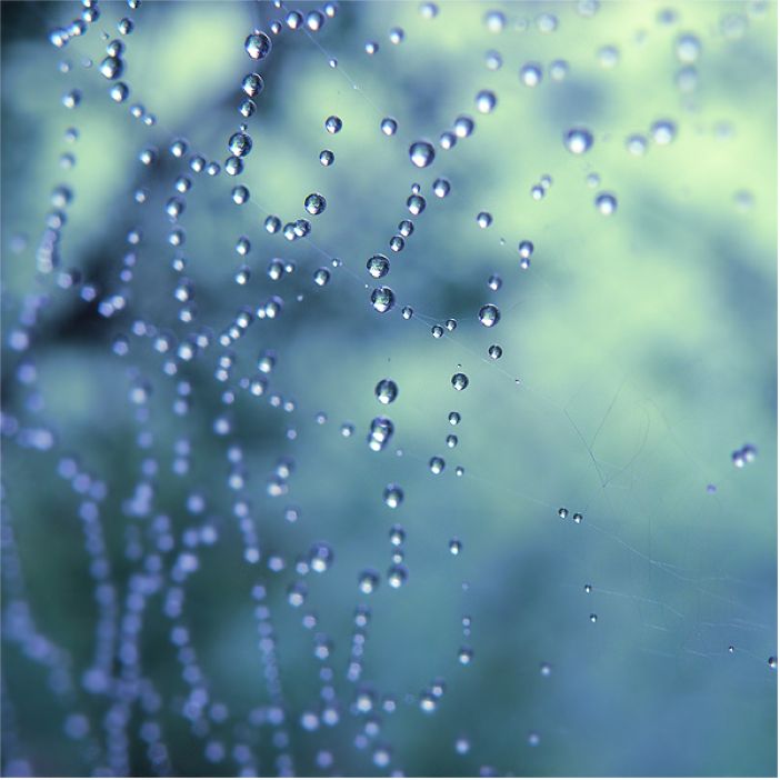 Blue Spiderweb