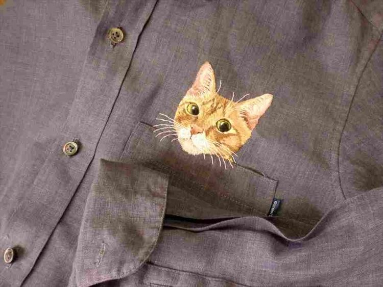 Popular Internet Cats on Shirts