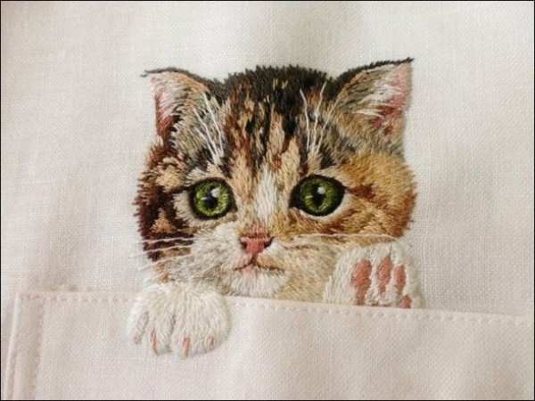 Cute Pocket Cats by Hiroko Kubota 