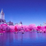 Photographer Sean Lynch Creates Eerie Landscapes With Discontinued Kodak Infrared Film