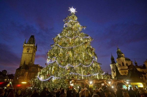 Main tree of the Czech Republic in Prague