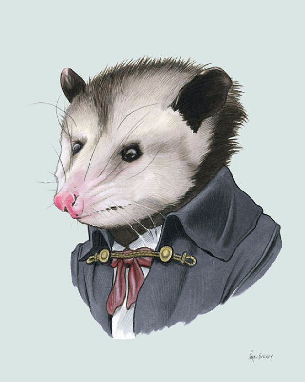Opossum art print