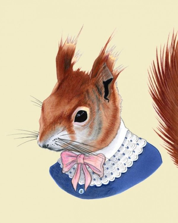 Red Squirrel art print