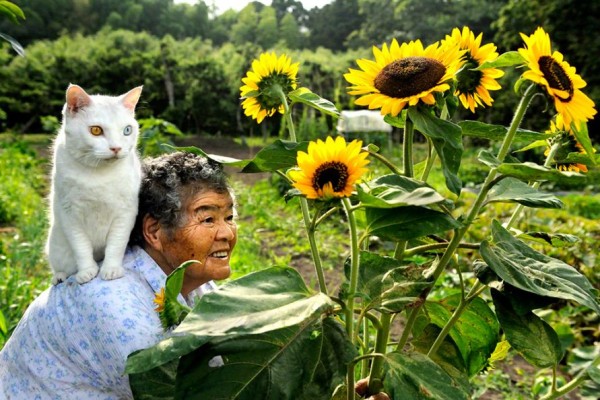 Meet Big Mom Misa and Cat Fukumaru