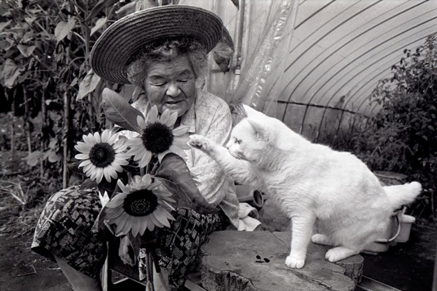 Grandma and Her Cat Are The Cutest Best Friends Ever