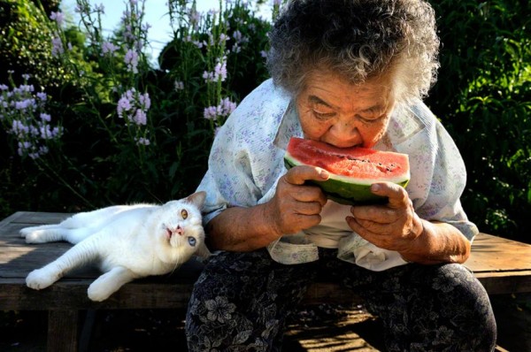 Cutest Best Friends Ever: A Cat and a Grandmother