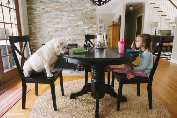 Harper and Bulldog Lola by Rebecca Leimbach