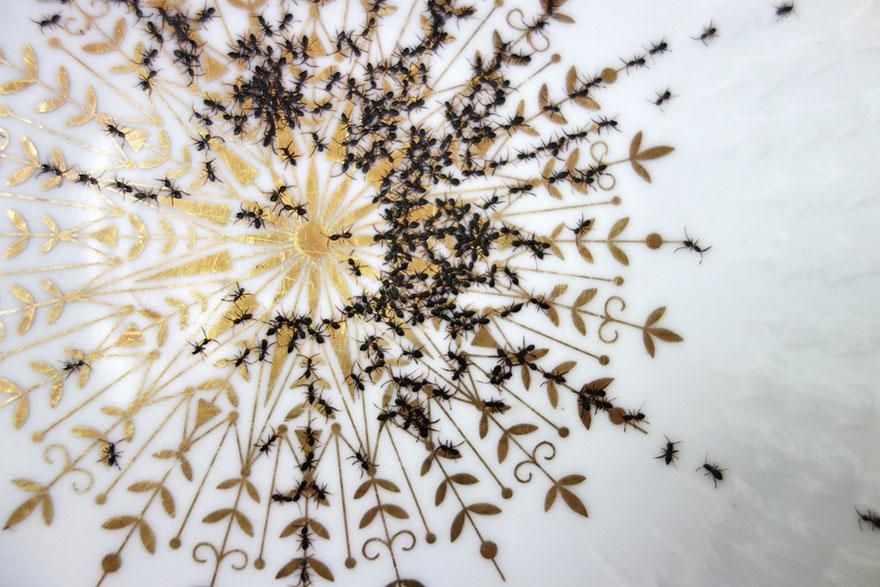 Creepy Porcelain Dishes Covered in Hordes of Hand-Painted Ants by Evelyn Bracklow