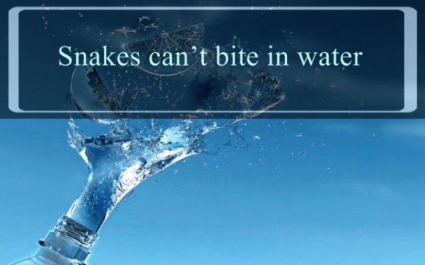 Interesting Facts about Water