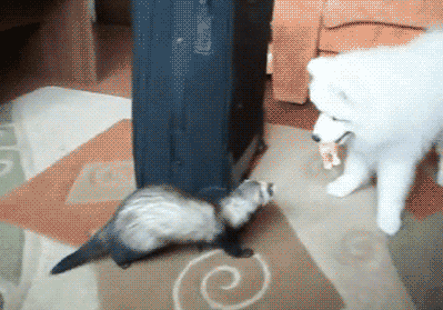 16-And this sly ferret that stole and ran