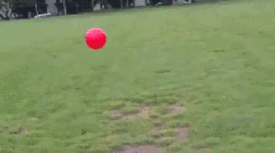 I Thought I Can Jump Over That Ball