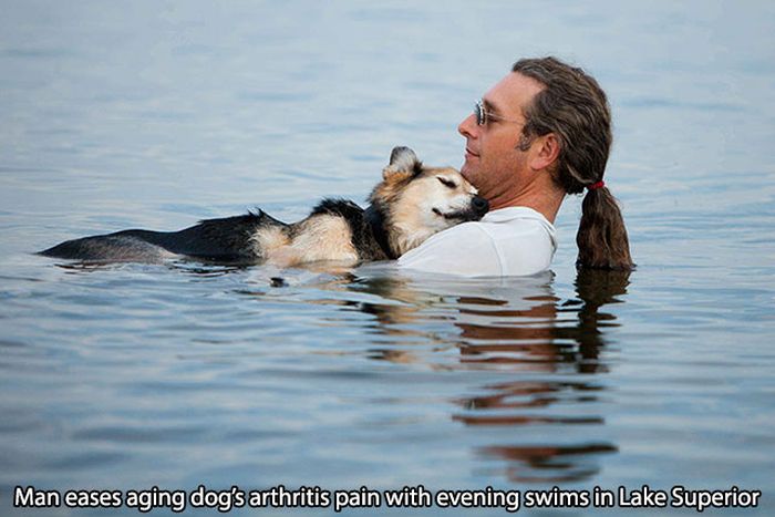 These Evening Swims For Aging Dog