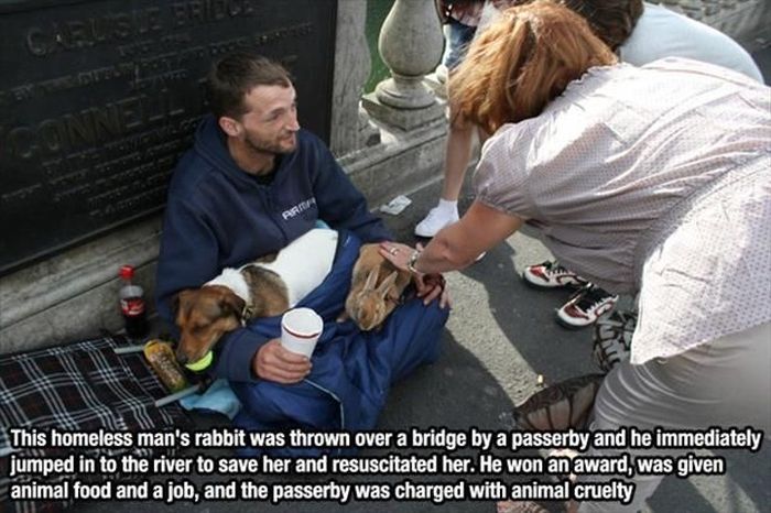 This Homeless Man Who Saved His Rabbit