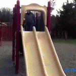 23 Playful GIFs Of Dogs Playing On Slides