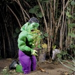 How Super Heroes Look At Home? Awesome Photography of Gregg Segal