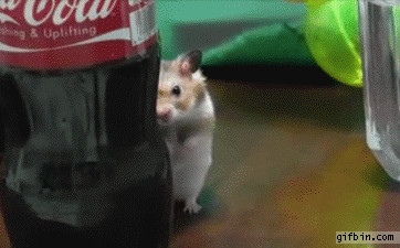 This hamster behind Coca-Cola bottle