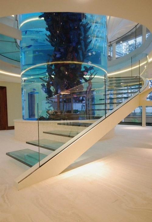 A Staircase That Wraps Around an Aquarium