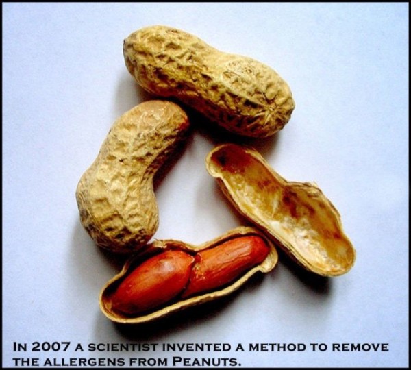 24 Amazingly Interesting Facts About Scientists The Wondrous