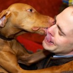 21 Signs Your Dog Loves You More Than He Loves Himself