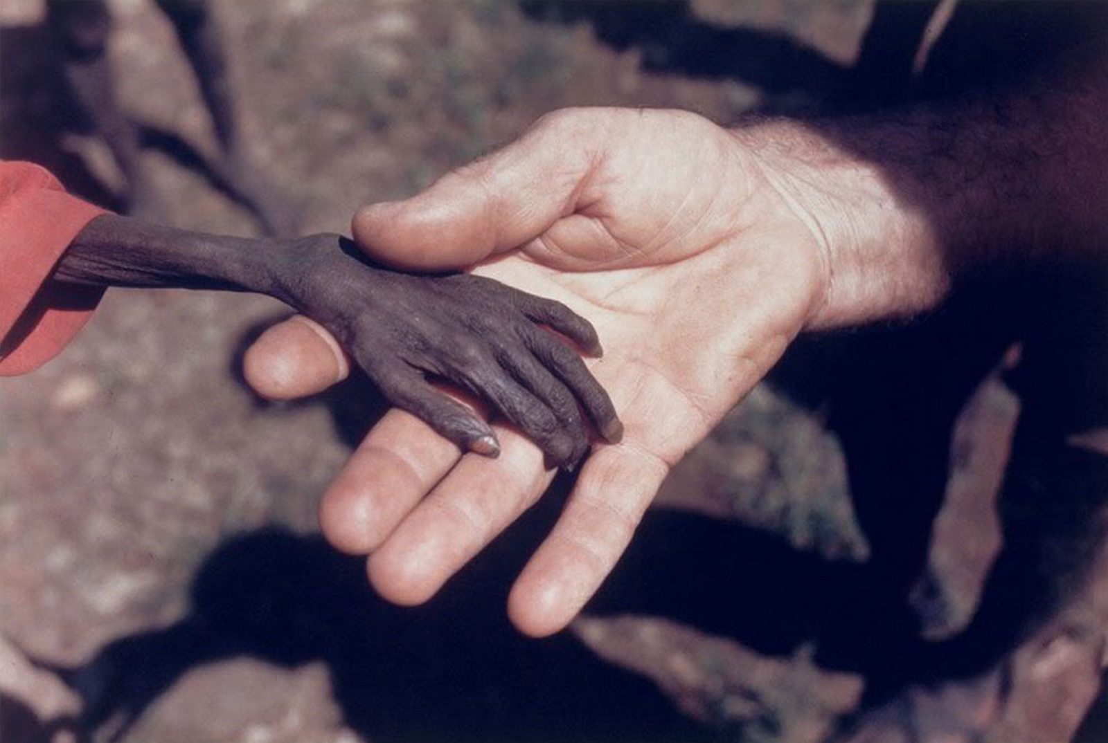 A missionary holds the hand of a starving boy in the Karamoja region of Uganda, April 1980.