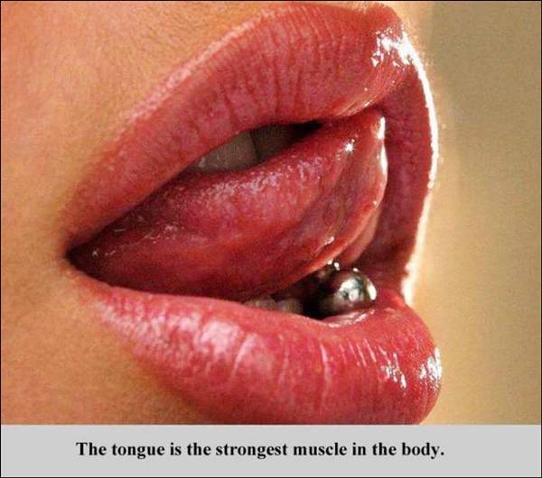 Fact about tongue