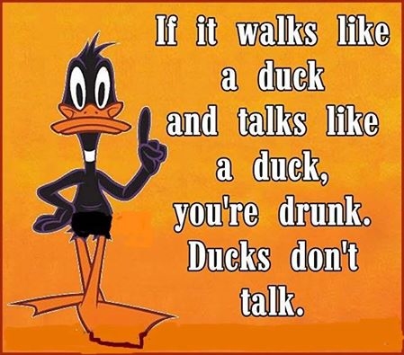 because ducks don't talk