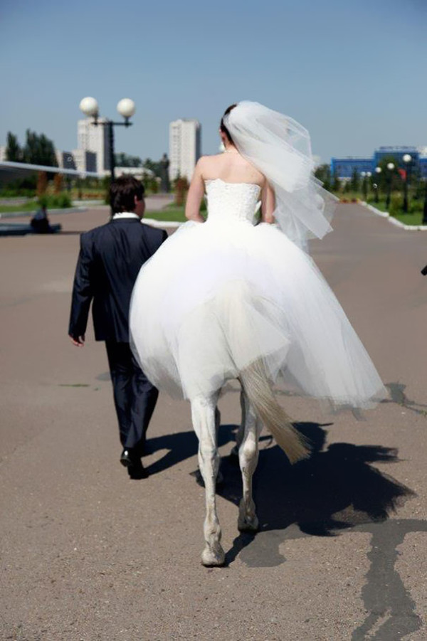 this bride is not a centaur