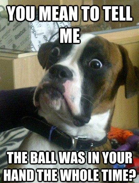 33 All Time Best Funny Dog Pictures with Captions