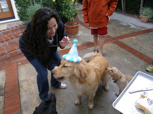 doggie birthday parties