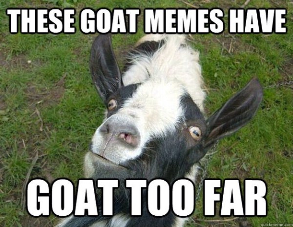 goats funny