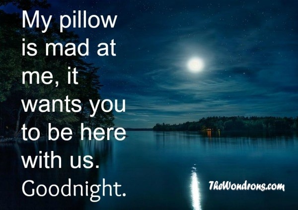 good night moon quotes